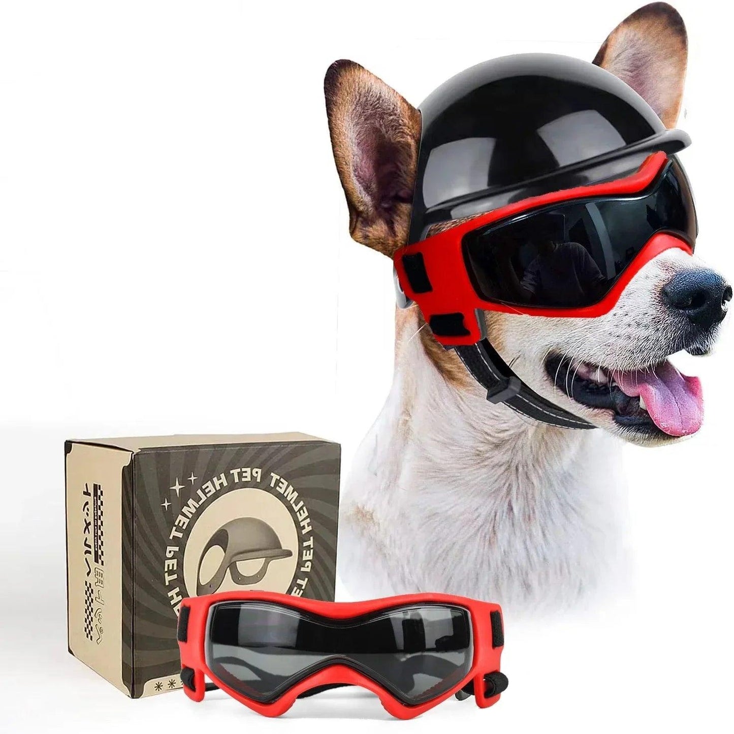 Dog Motorcycle Helmet & Goggles