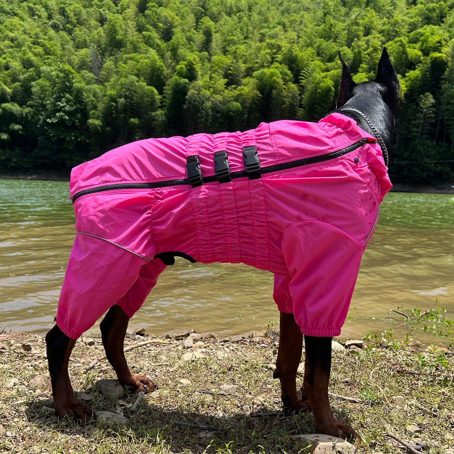 Waterproof 4-Legged Dog Raincoat