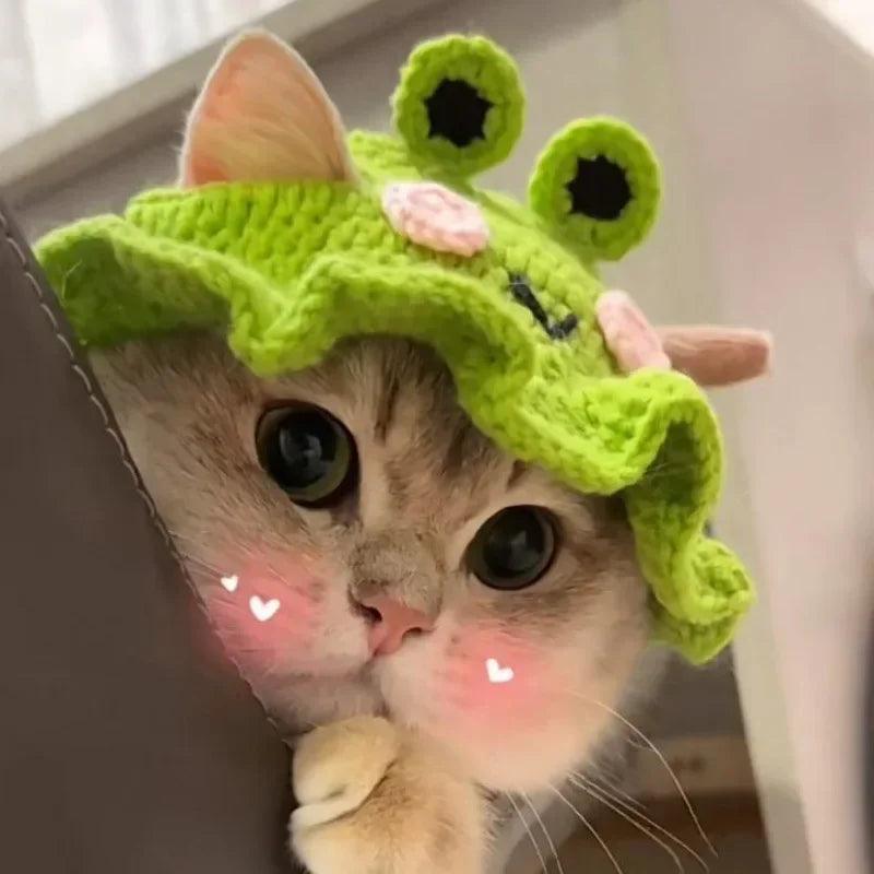 Handmade Cat Party Hat