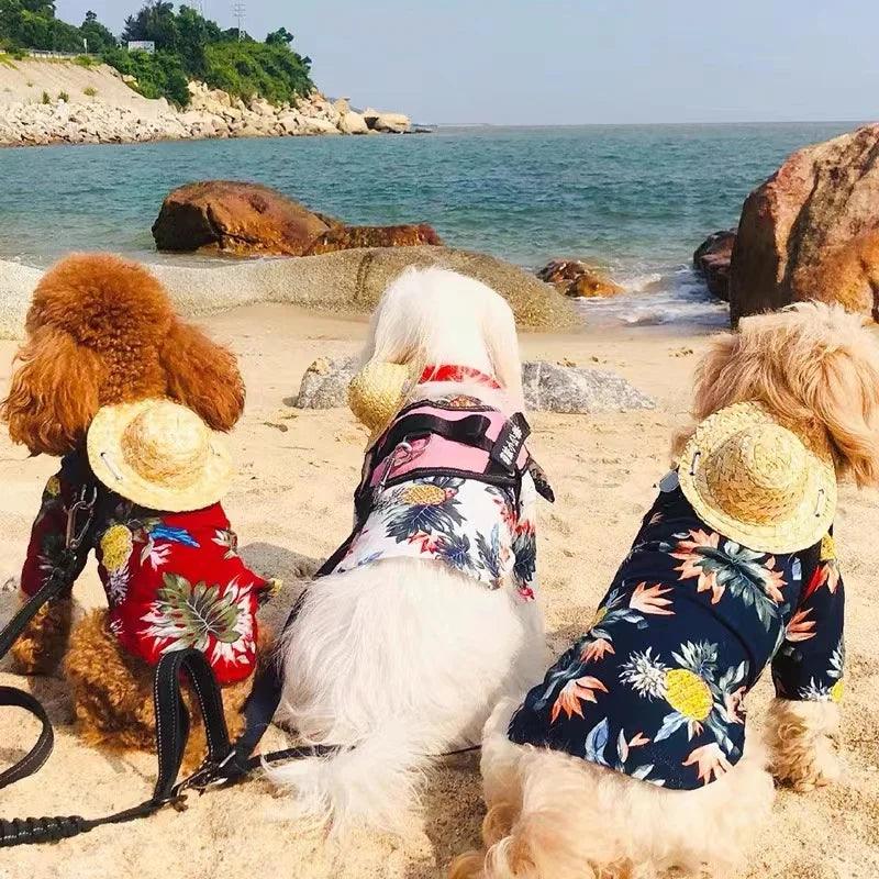 Pineapple Beach Shirt for Pets