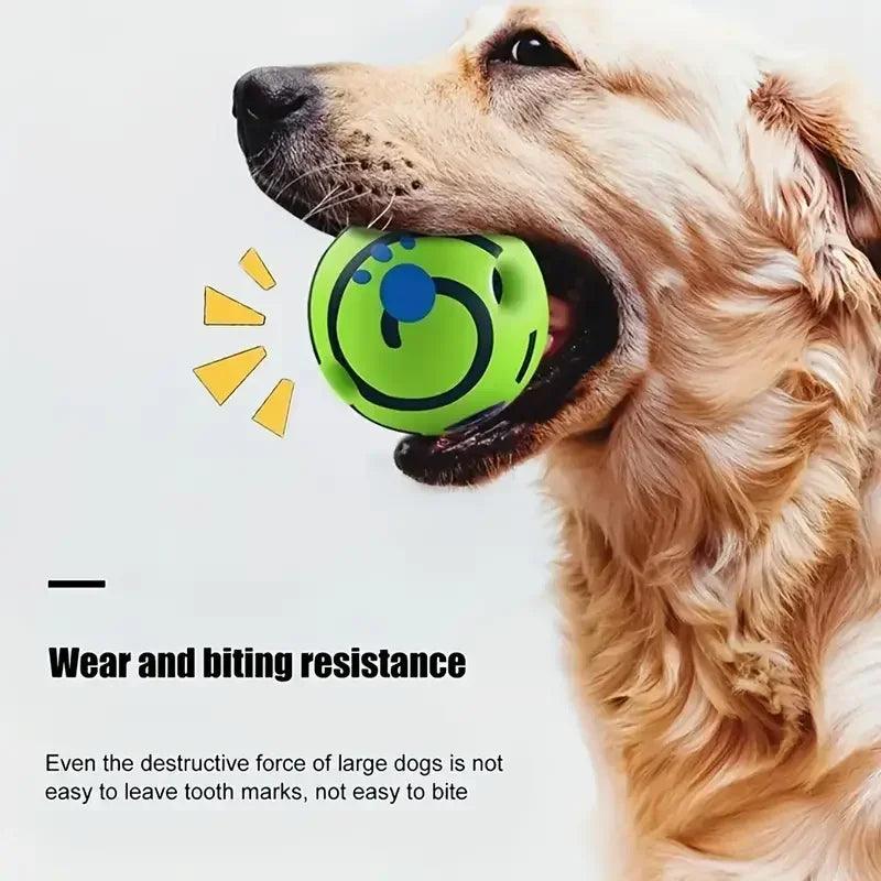 Glow Giggle Dog Ball