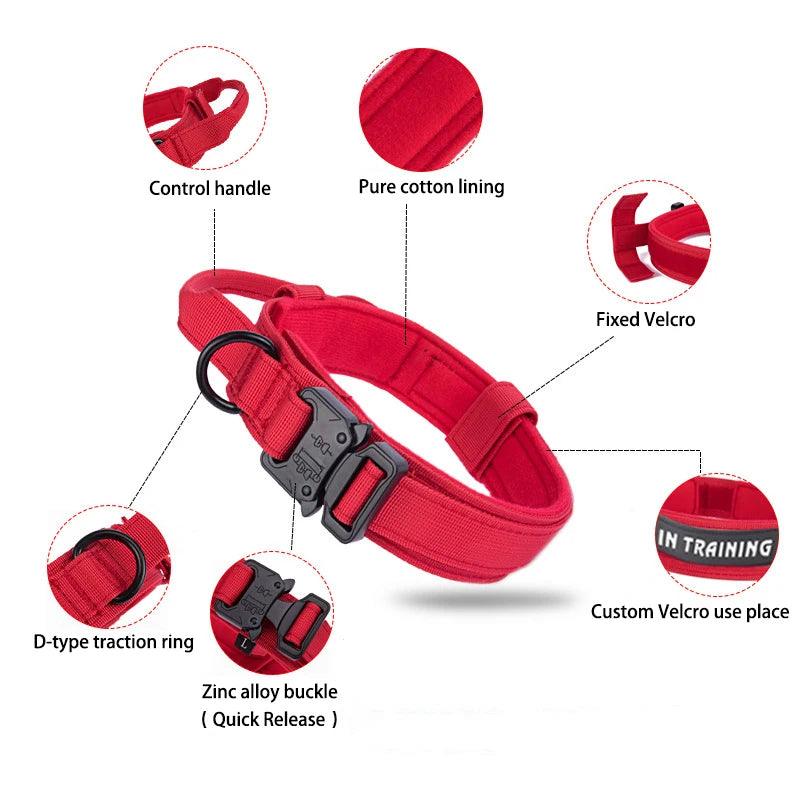 Durable Dog Collar & Leash