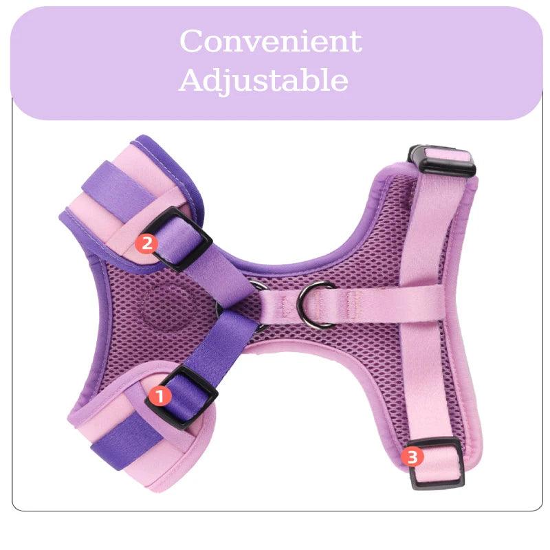 Adjustable Mesh Harness Set