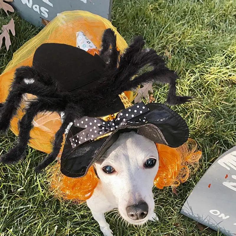 Spooky Spider Pet Costume