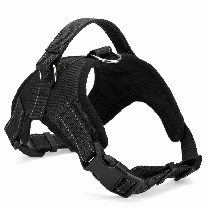 Quick-Release Dog Harness