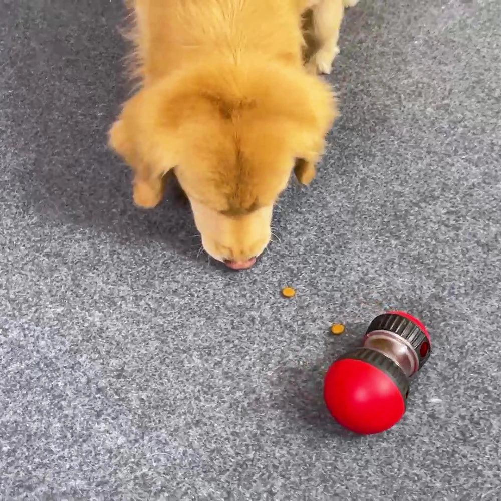 Interactive Slow Feeder Toy