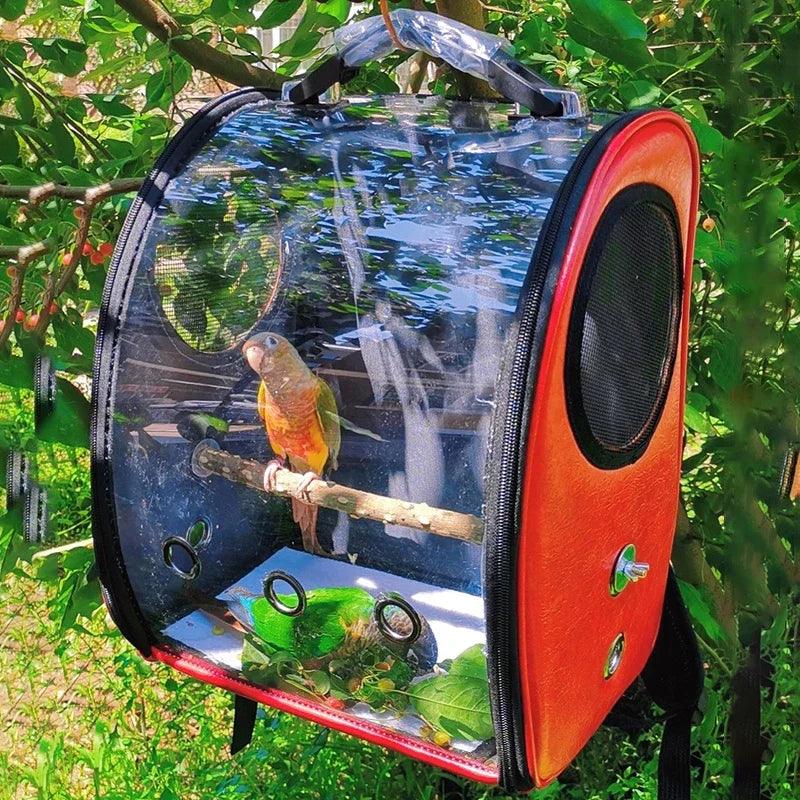 Transparent Travel Bird Backpack