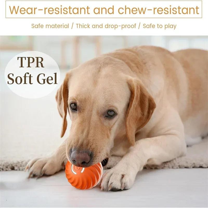 Smart Interactive Dog Ball