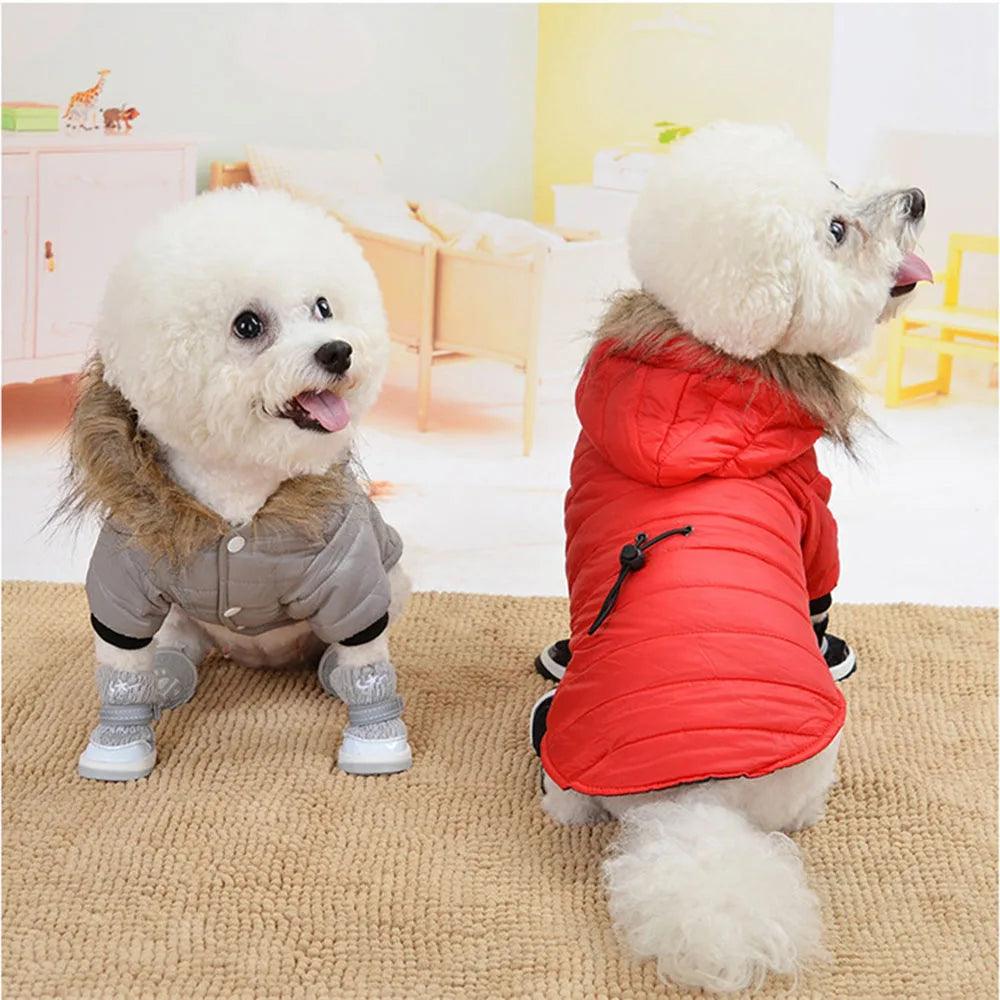 Winter Pup Puffer Jacket