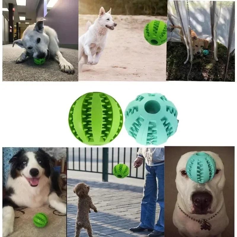 Treat Dispensing Chew Ball