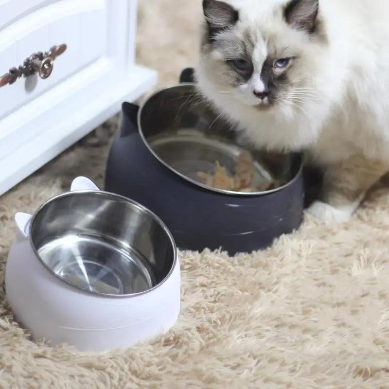 Elevated Tilted Pet Feeding Bowl