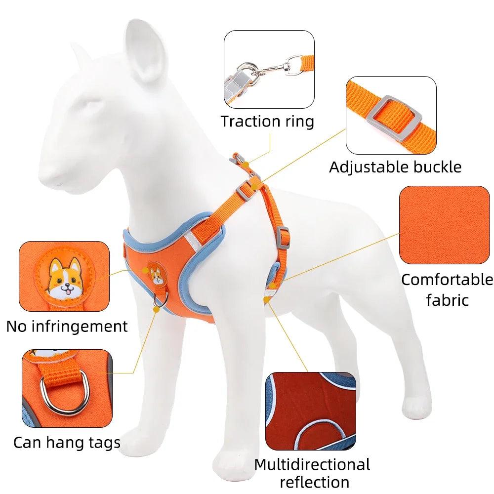 Reflective Dog Harness & Leash