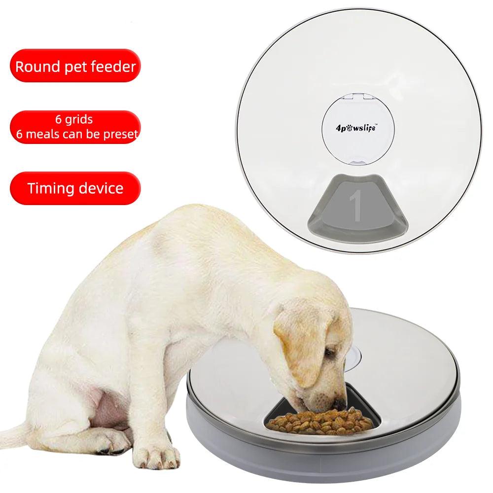 6-Meal Automatic Pet Feeder