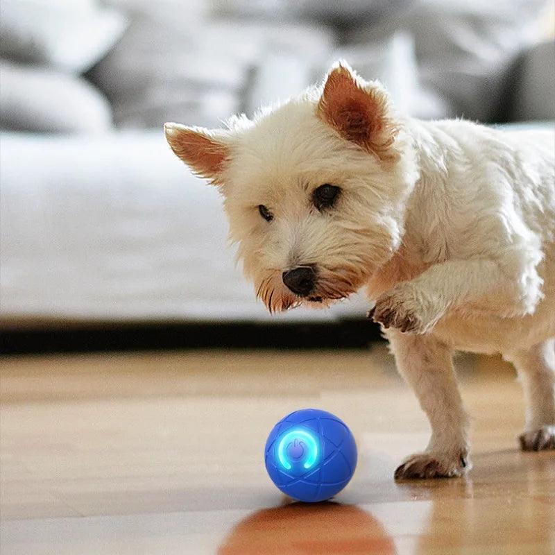 Smart Moving Dog Toy Ball