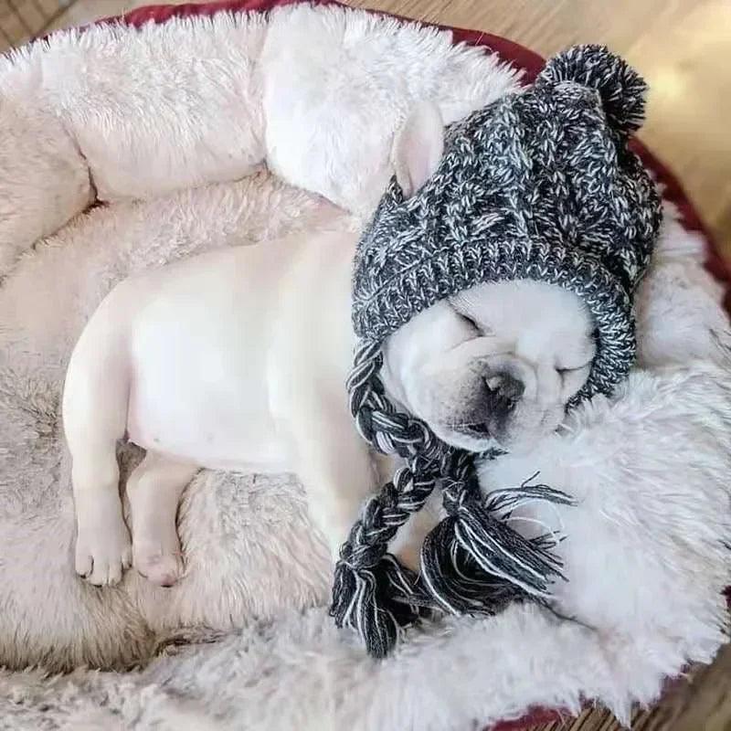Winter Warm Dog Hat