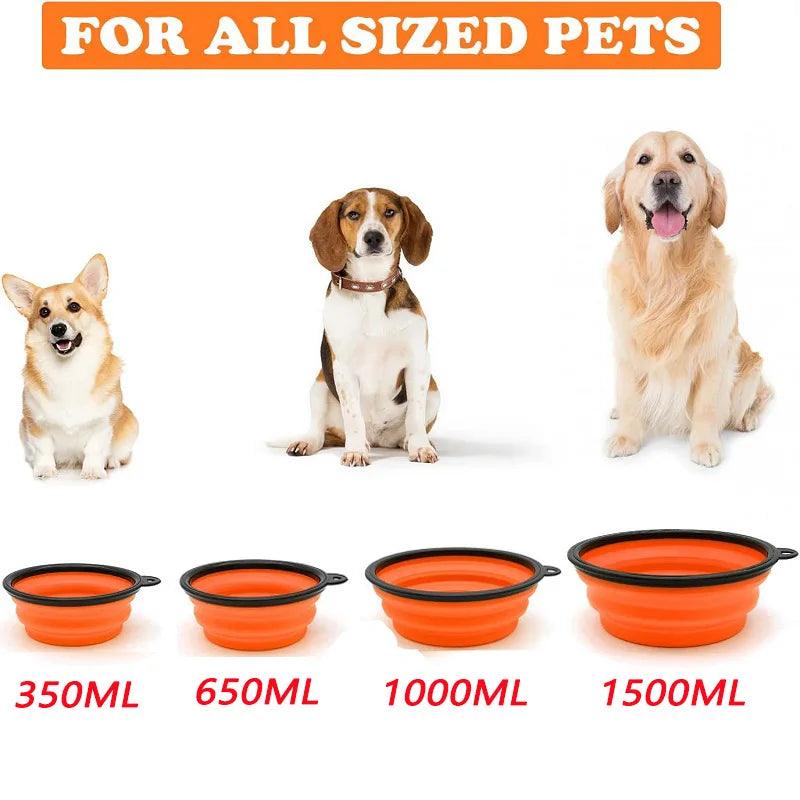 2-in-1 Portable Pet Feeder