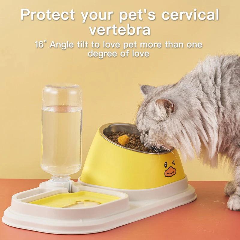3-in-1 Tilted Pet Bowl