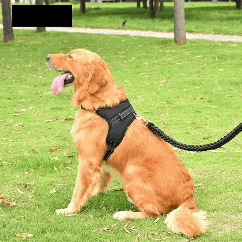 Adjustable Dog Harness & LeashDescription:
Walk your dog with ease! This adjustable harness and reflective leash combo ensures comfort and control for dogs of all sizes, perfect for walking, runRegal Pet PalaceRegal Pet PalaceAdjustable Dog Harness