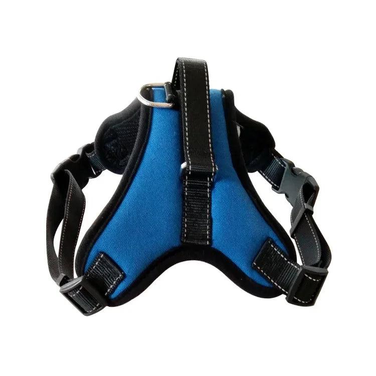 Quick-Release Dog Harness