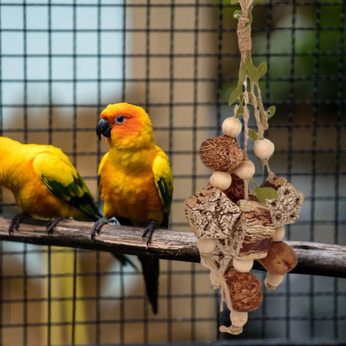 Parrot Chew Training Toy