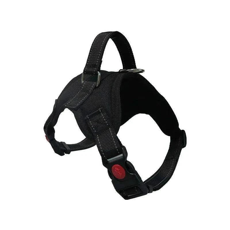 Adjustable Dog Harness & LeashDescription:
Enjoy worry-free walks with your pet! This adjustable harness and strong reflective leash combo ensures comfort, control, and safety for dogs of all siRegal Pet PalaceRegal Pet PalaceAdjustable Dog Harness