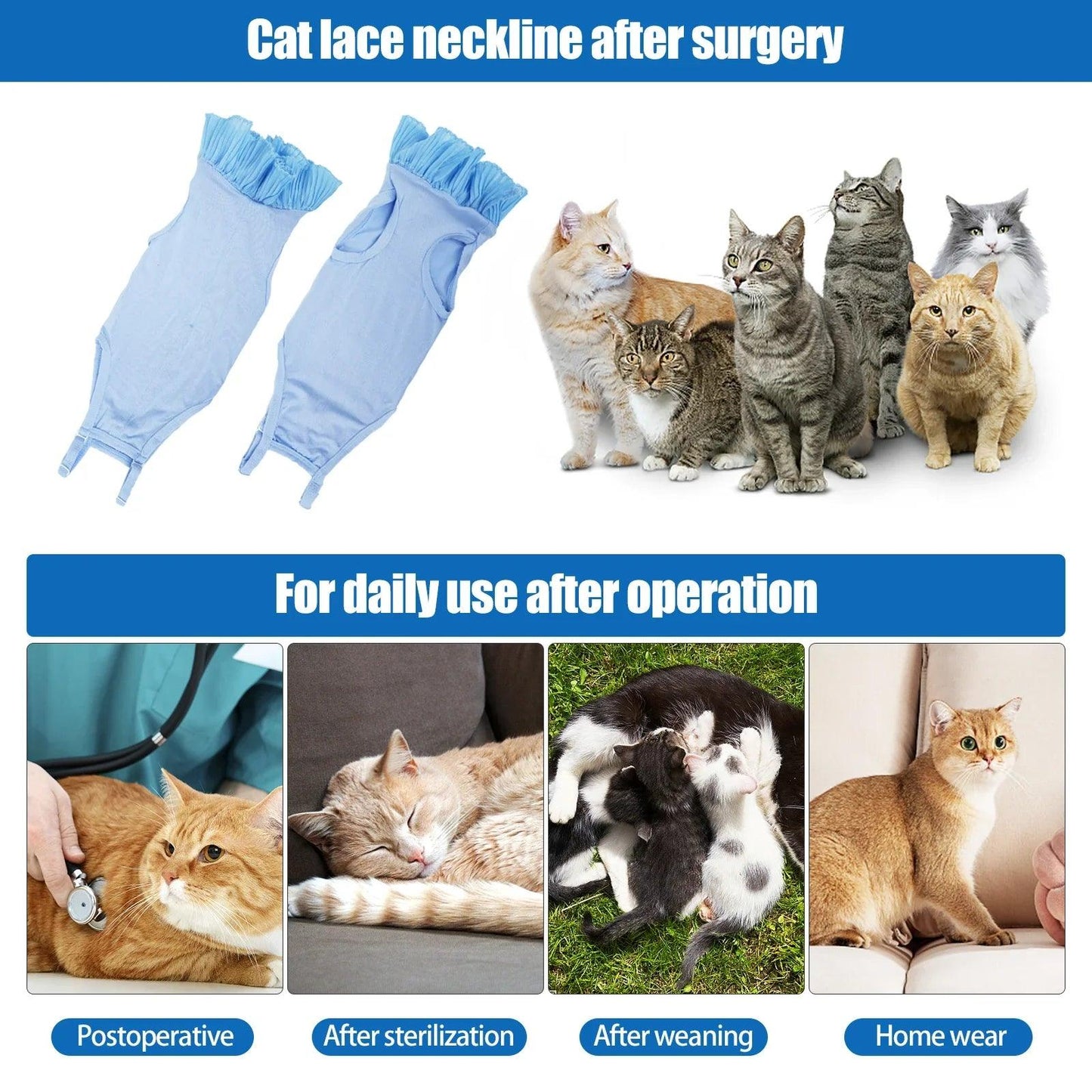 Cat Post-Surgery Recovery Suit