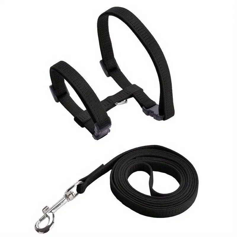 Adjustable Pet Harness & Leash
