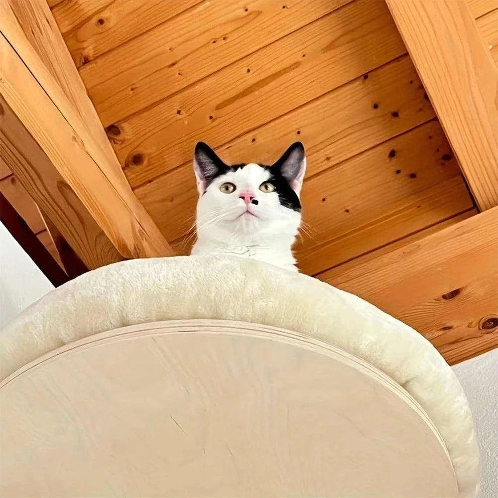 Wall-Mounted Cat Climbing LadderDescription:
Give your cat the ultimate climbing adventure with this stylish wall-mounted ladder and hammock combo. Perfect for active cats who love to explore and Regal Pet PalaceRegal Pet PalaceWall-Mounted Cat