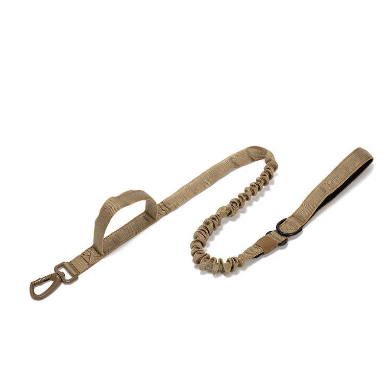 Durable Dog Collar & Leash