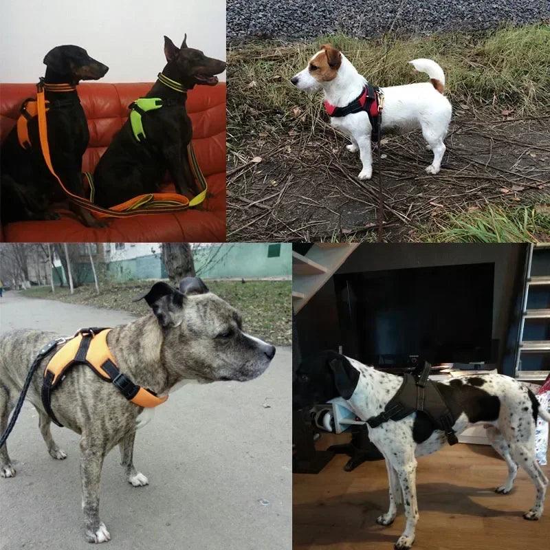 Adjustable Nylon Dog Harness