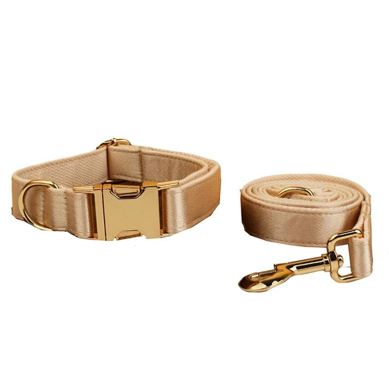 Custom Luxury Designer Dog Set