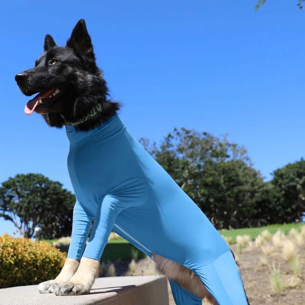Dog Recovery & Anxiety Suit