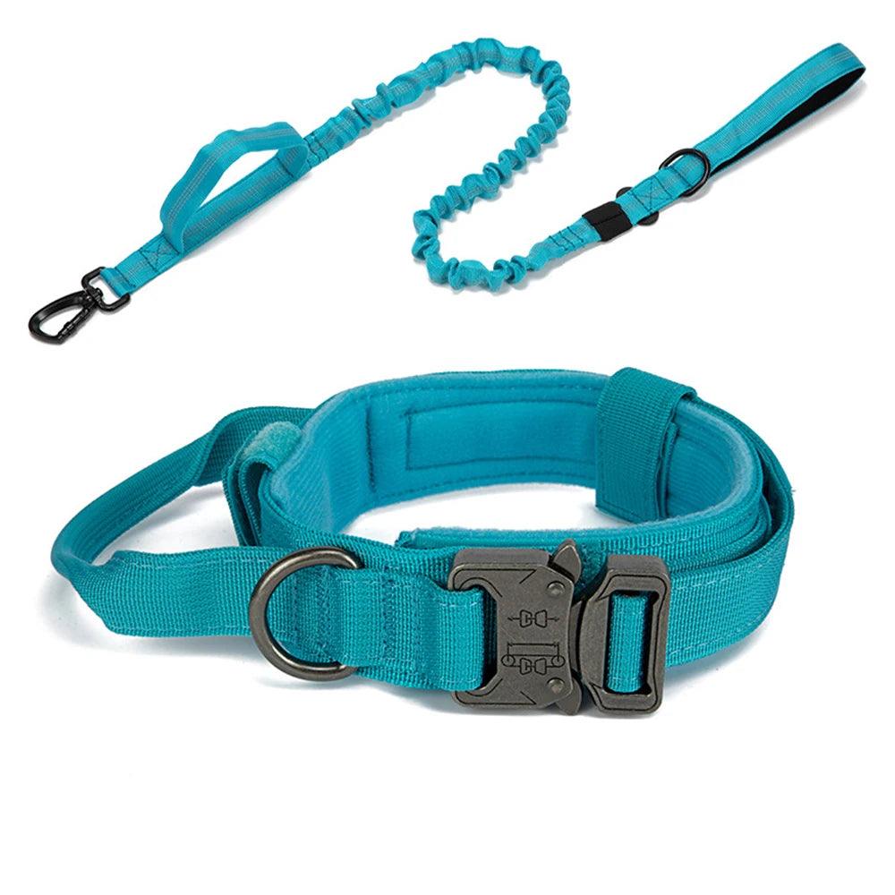 Durable Dog Collar & Leash