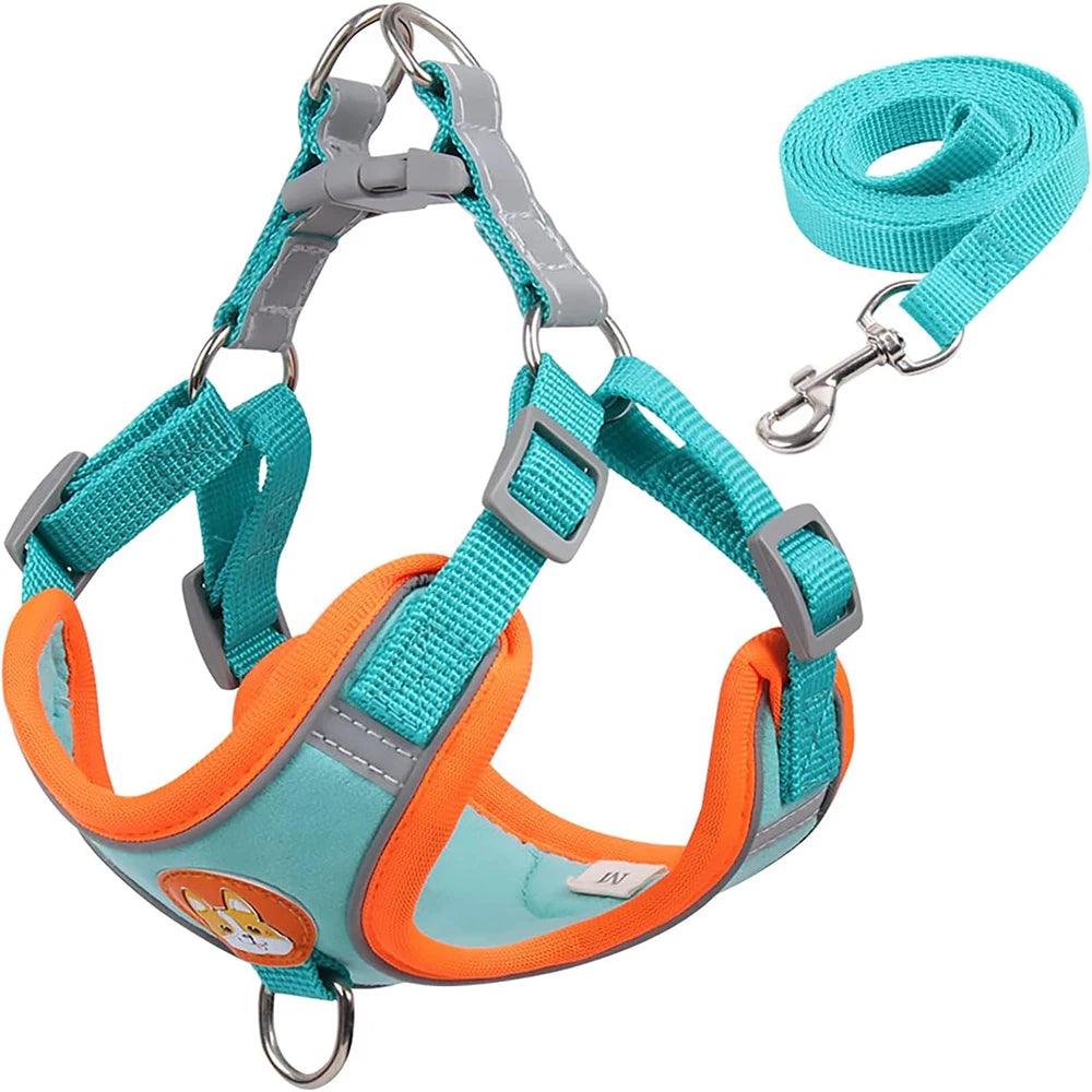 Reflective Pet Harness & Leash