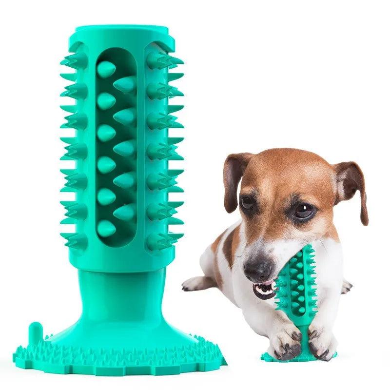 Indestructible Dumbbell Chew Toy