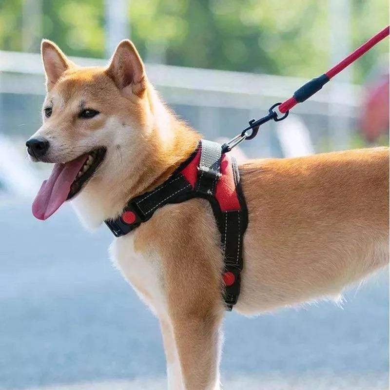 Adjustable Dog Harness & LeashDescription:
Walk your dog with ease! This adjustable harness and reflective leash combo ensures comfort and control for dogs of all sizes, perfect for walking, runRegal Pet PalaceRegal Pet PalaceAdjustable Dog Harness