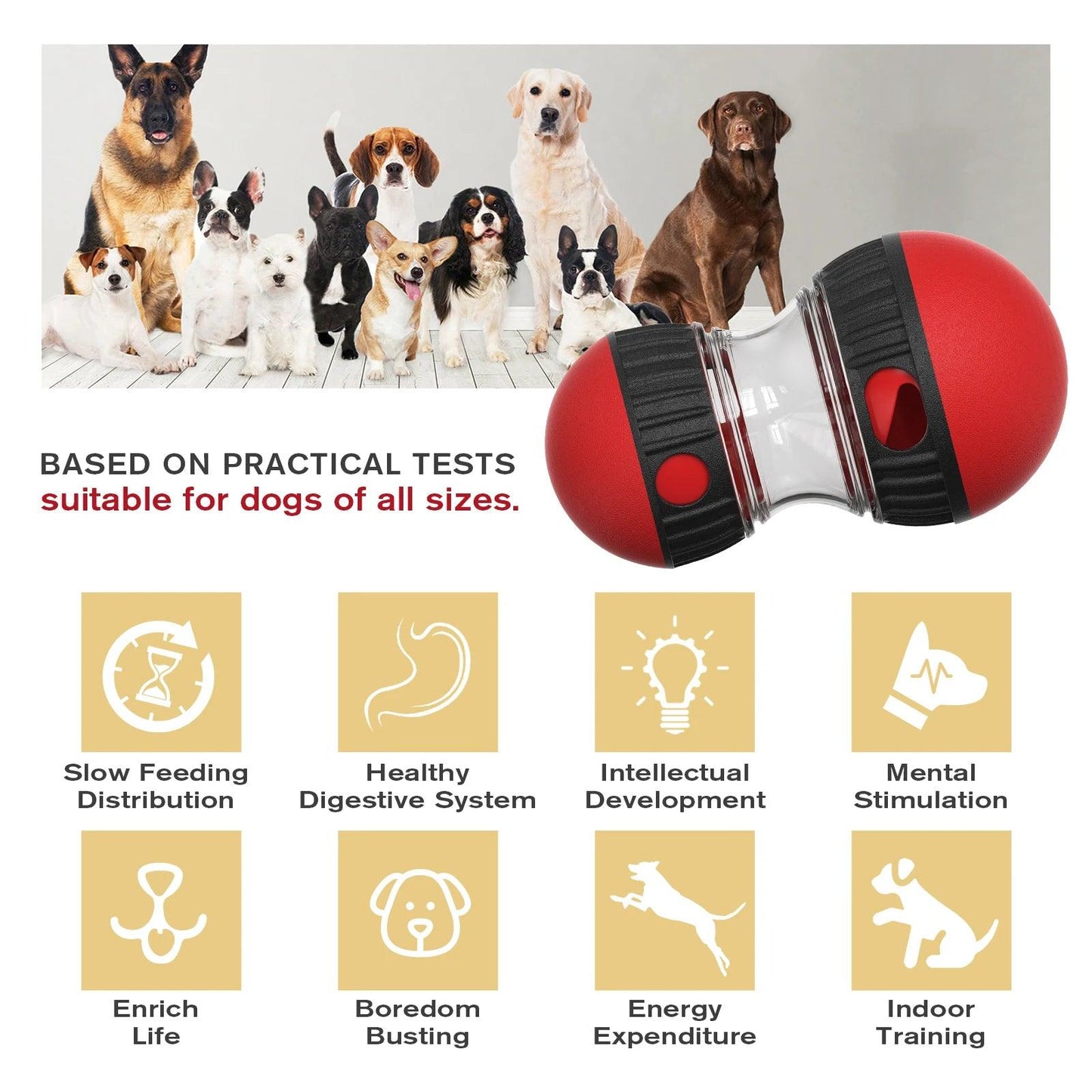 Interactive Dog IQ Toy