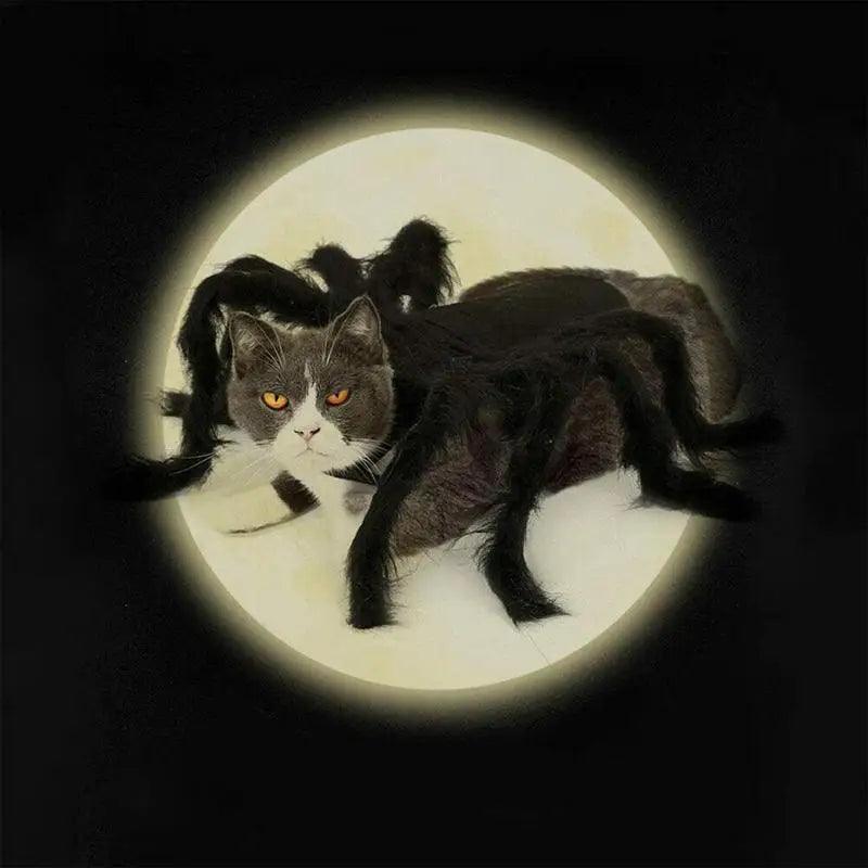 Spooky Spider Pet Costume