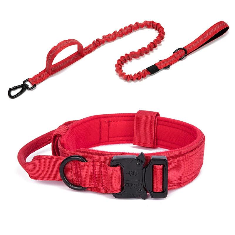Durable Dog Collar & Leash