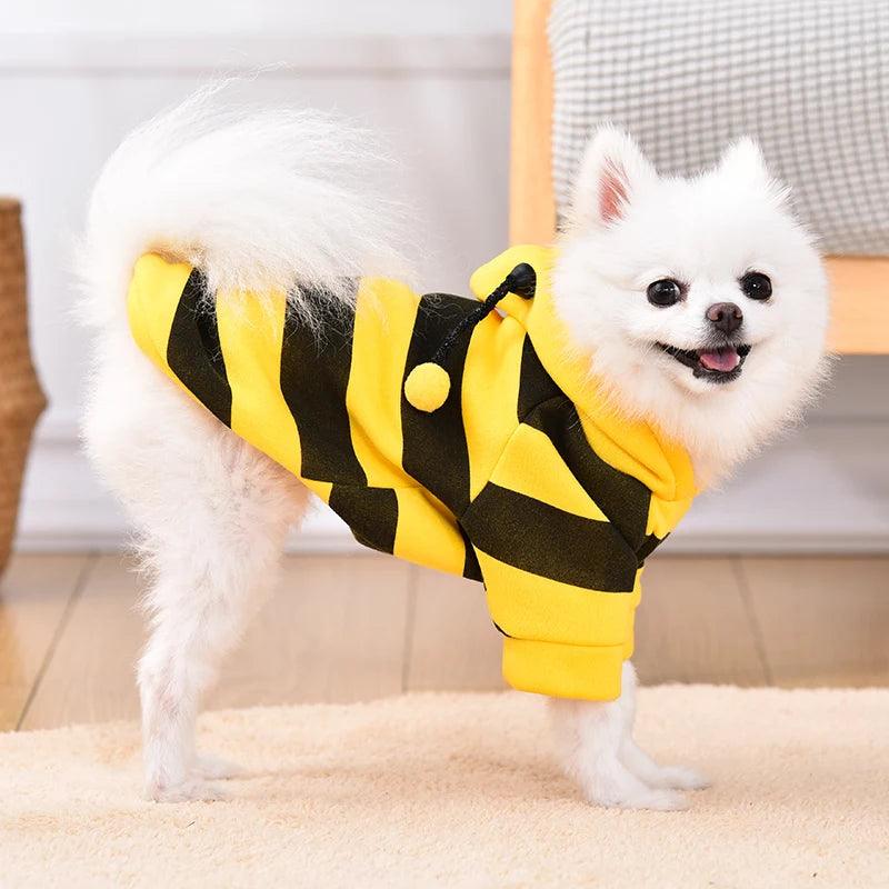 Bee Halloween Dog Sweatshirt