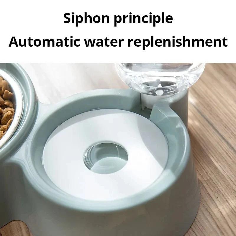 2-in-1 Cat Food & Water Bowl