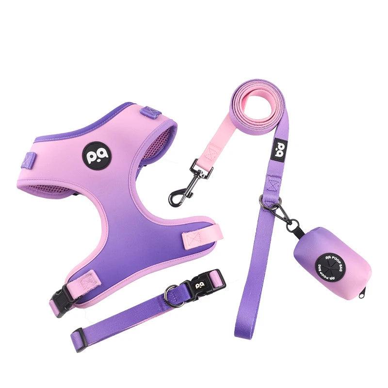 Adjustable Mesh Harness Set