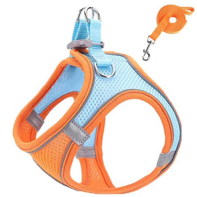 Reflective Cat Harness Set