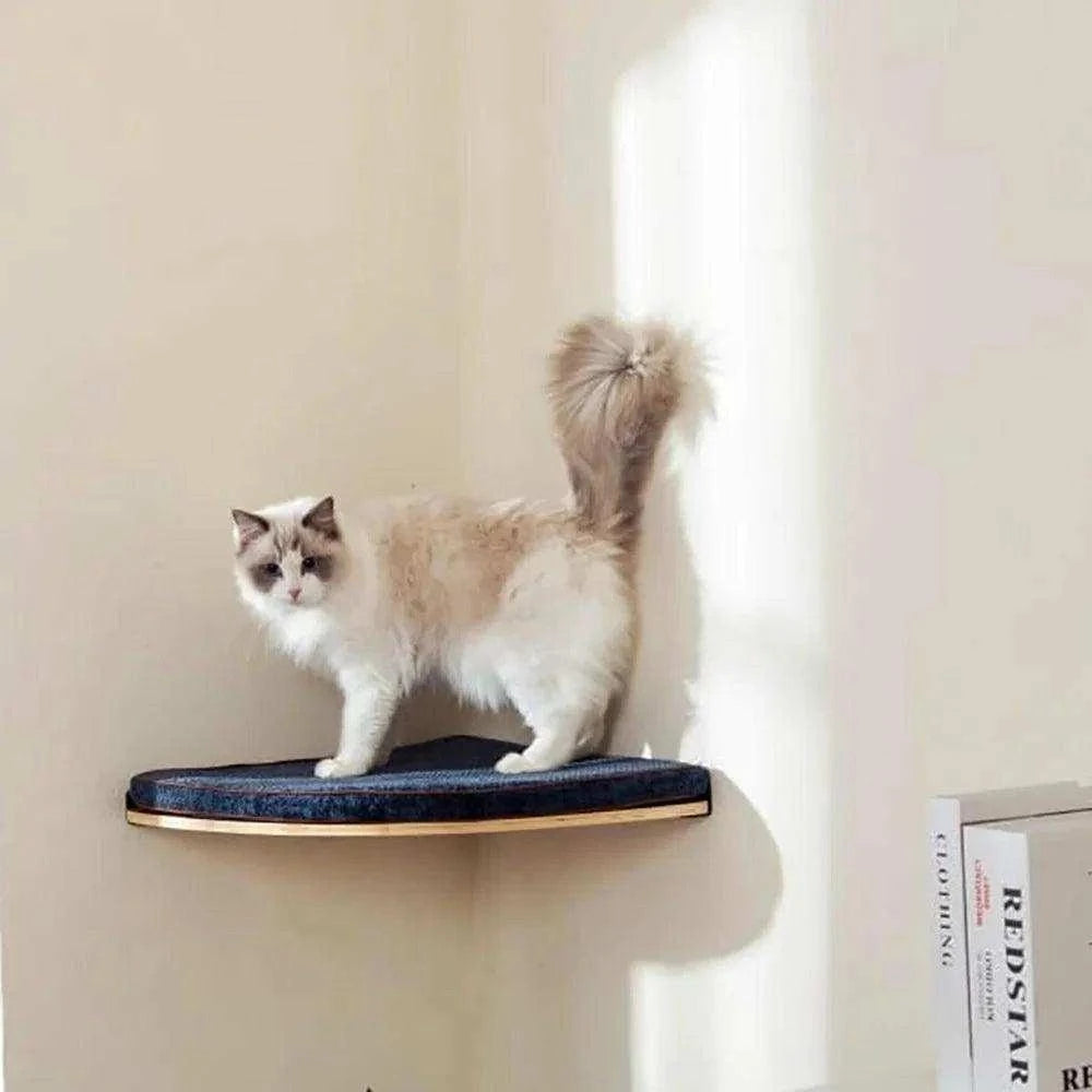 Wall Mounted Cat TreeDescription:
Give your cat the ultimate climbing adventure with this sleek wall-mounted cat tree. Perfect for active felines, it saves space and adds style while keRegal Pet PalaceRegal Pet PalaceWall Mounted Cat Tree