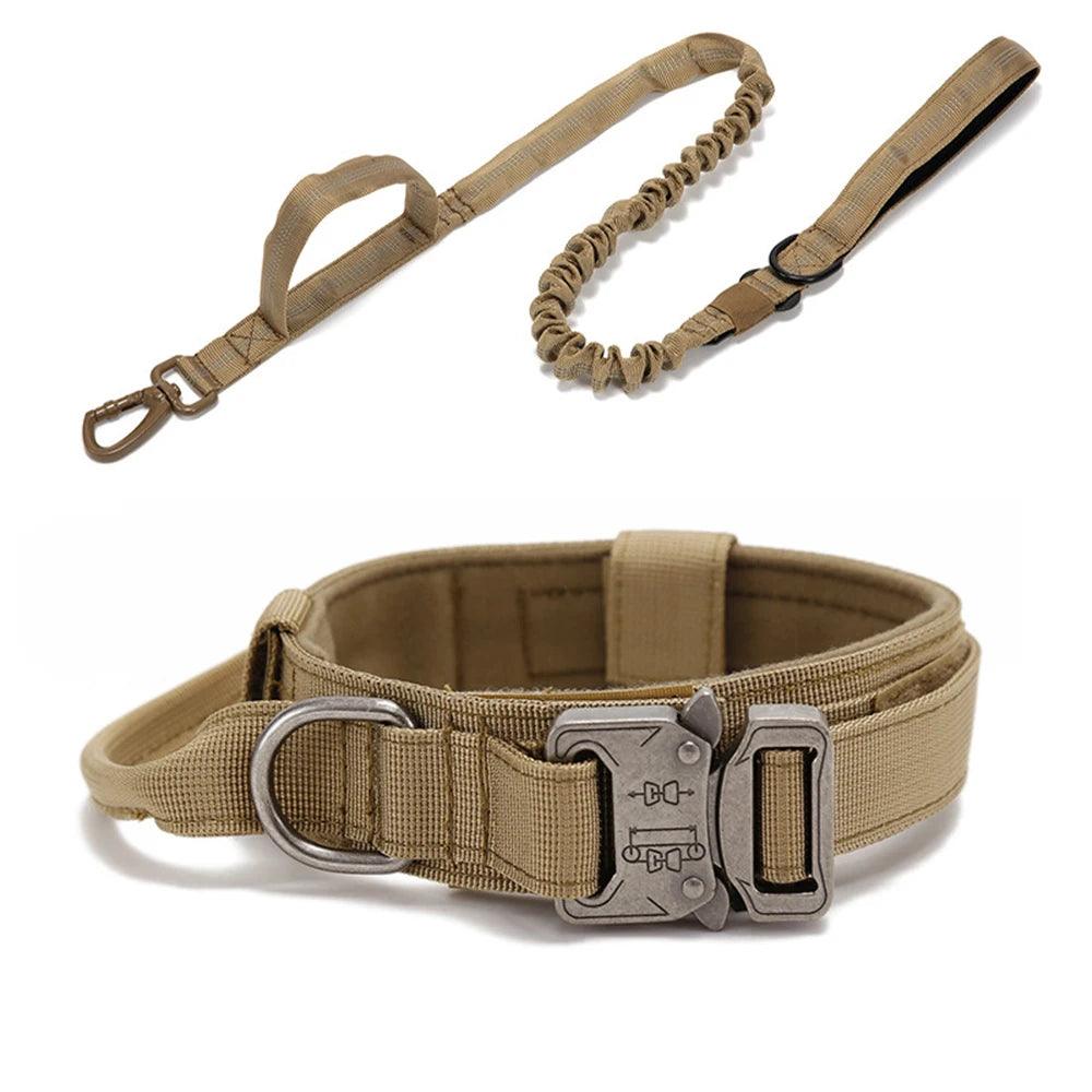 Durable Dog Collar & Leash