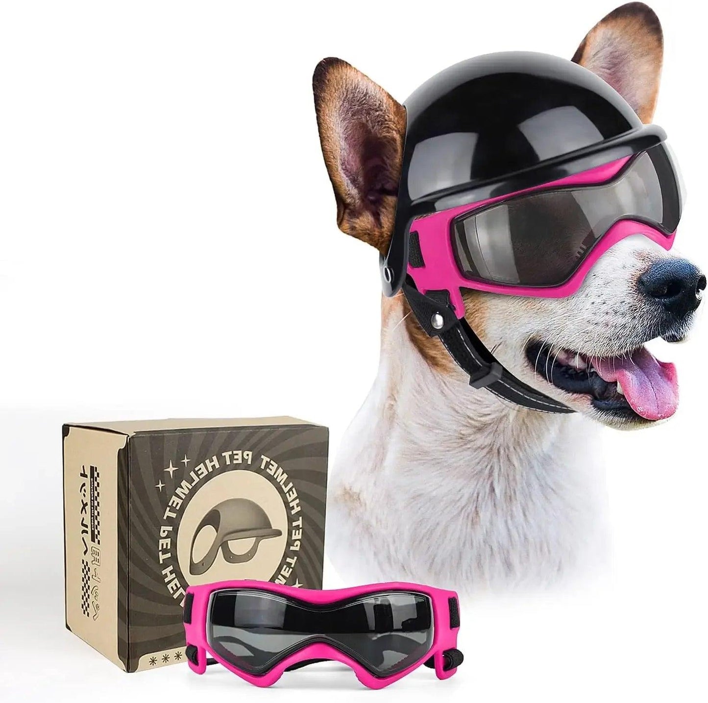 Dog Motorcycle Helmet & Goggles