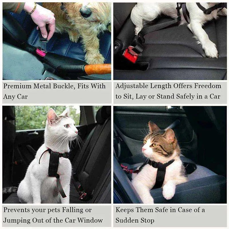 Adjustable Dog Car SeatbeltDescription:
Keep your dog safe and comfortable during car rides! This adjustable, durable seatbelt harness ensures secure travel with reflective bungee fabric for Regal Pet PalaceRegal Pet PalaceAdjustable Dog Car