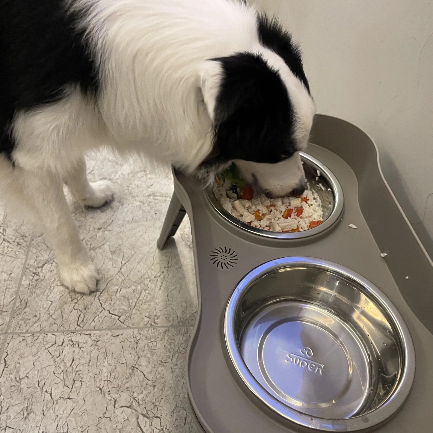 Elevated Dog Feeding Bowls