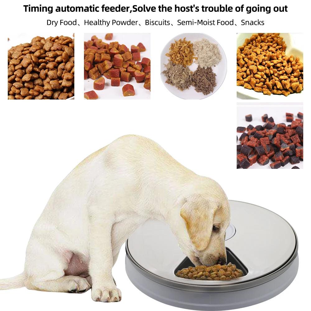 6-Meal Automatic Pet Feeder
