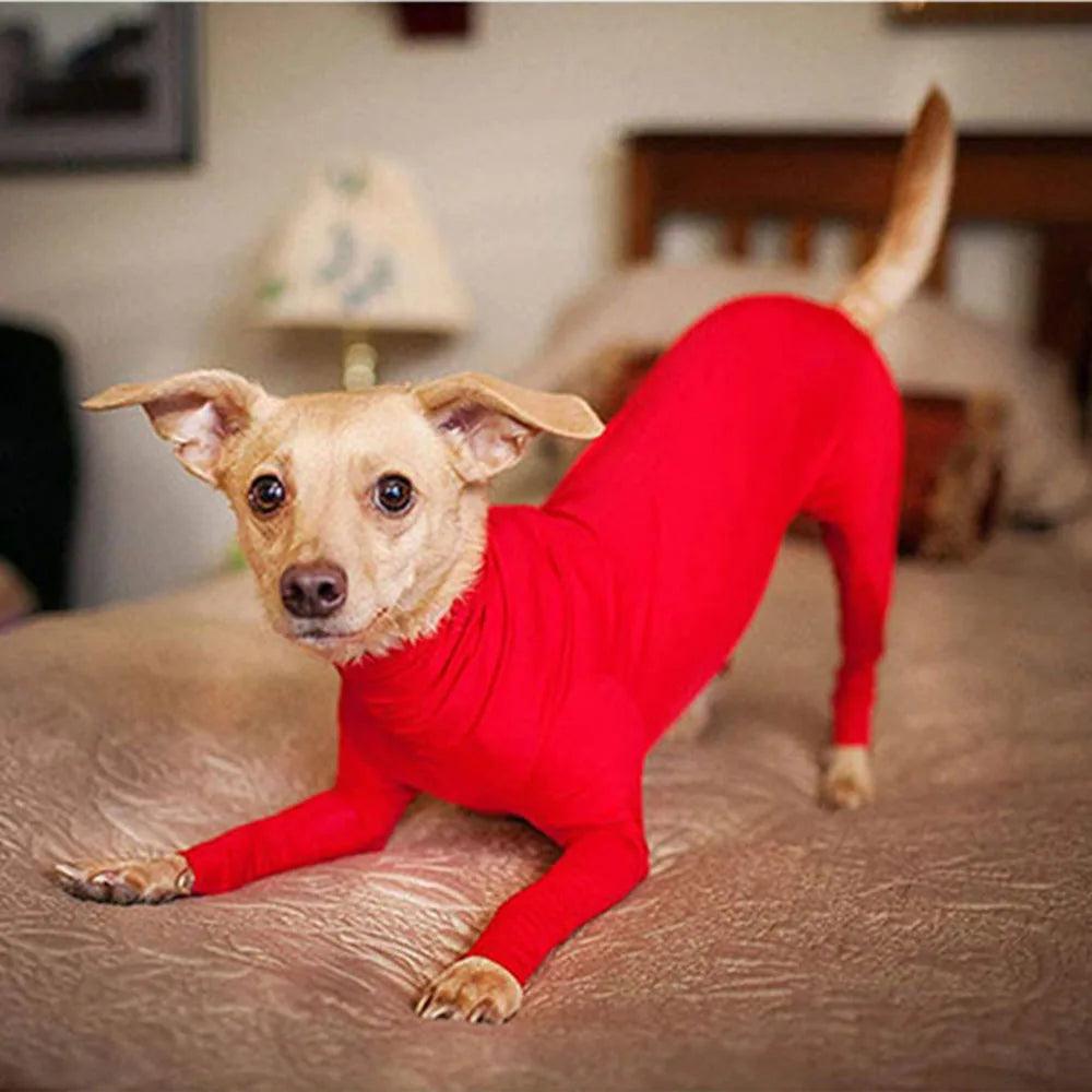 Dog Recovery & Anxiety Suit